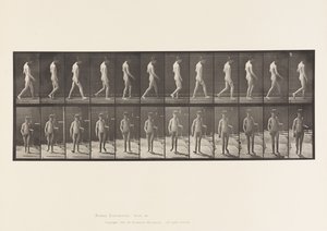 Planche 551. Épilepsie ; marche - Eadweard Muybridge