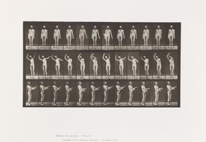 Chorée locale; A, B, C, en position debout - Eadweard Muybridge