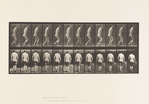 Planche 558. Paraplégie; partielle; marche, 1885 - Eadweard Muybridge