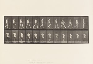 Locomotion ataxique; Marche, 1885 - Eadweard Muybridge