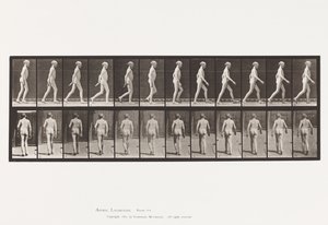 Planche 562. Courbure Latérale de la Colonne Vertébrale; Marche - Eadweard Muybridge