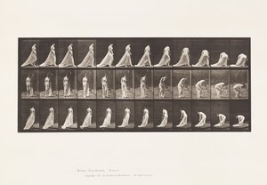 Planche 56. Marcher, tourner et se pencher pour soulever une traîne - Eadweard Muybridge