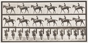 Marche; Selle; Jument baie pur-sang Annie G., 1885