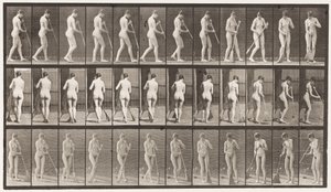 Planche 58. Marche, se retourner en balayant le sol - Eadweard Muybridge