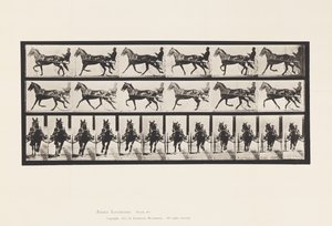 Planche 595. Balancer (Allure): Sulky; Cheval brun Pronto - Eadweard Muybridge