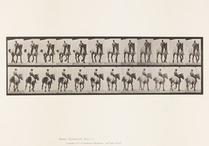 Planche 600. Trotter; À cru; Gris foncé Dusel - Eadweard Muybridge