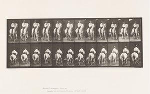 Planche 604. Trot; Selle; Cheval Blanc, Elberon - Eadweard Muybridge