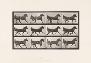 Planche 606. Trot; Sulky; Cheval Bai, Reuben - Eadweard Muybridge