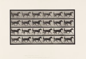 Planche 608. Trot; Sulky; Jument Alezane, Flode Holden - Eadweard Muybridge