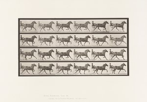 Planche 609. Trot; Sulky; Jument Bai, Lizzie M. - Eadweard Muybridge