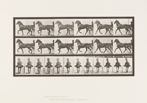 Planche 612. Trot; Sulky; Cheval Bai, Dereumd