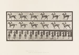 Planche 621. Petit Galop; Selle; Jument Pur-Sang Bai Annie 6 - Eadweard Muybridge