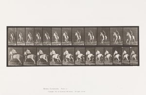 Planche 630. Galop; Selle; Jument Grise Pandora - Eadweard Muybridge