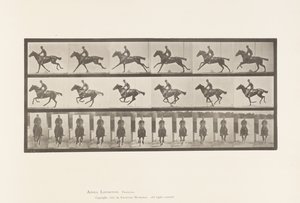 Planche 631. Galop; Selle; Cheval Pur-Sang Bai Bouquet - Eadweard Muybridge