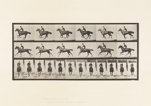 Planche 632. Galop; Selle; Cheval Pur-Sang Bai Bouquet - Eadweard Muybridge