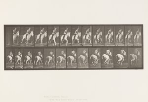Planche 635. Galop; Selle; Jument Grise, Pandora - Eadweard Muybridge
