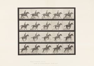 Planche 636. Sauter une Haie; Selle; Préparation pour le Saut - Eadweard Muybridge
