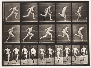 Planche 63. Course à pleine vitesse - Eadweard Muybridge