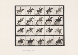 Planche 640. Sauter une haie; Selle; Cheval bai Daisy - Eadweard Muybridge