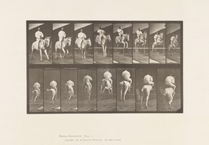 Planche 644. Sauter une haie; Selle; Franchissement et atterrissage - Eadweard Muybridge