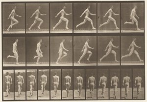 Planche 64. Courir à toute vitesse - Eadweard Muybridge