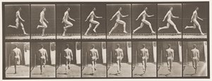 Planche 65. Courir à toute vitesse, 1872-1885 - Eadweard Muybridge