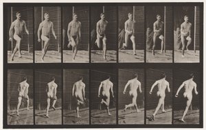 Planche 66. Courir - Eadweard Muybridge