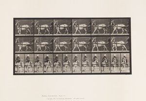 Planche 677. Chèvre; Marchant en sulky