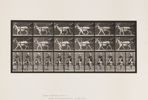 Planche 678. Chèvre; Trottant, en Sulky