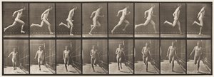 Planche 67. Courir - Eadweard Muybridge
