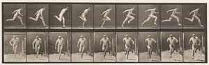 Planche 68. Courir - Eadweard Muybridge