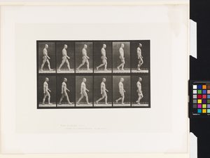 Planche 6. Marche - Eadweard Muybridge