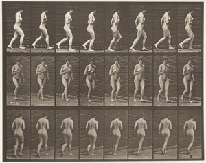 Planche 70. Courir, 1872-1885 - Eadweard Muybridge