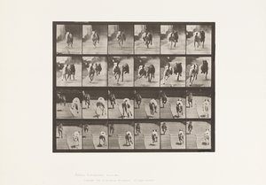 Planche 711. Chiens; Deux en course; A, B; Lévriers de course, Ike & Maggie - Eadweard Muybridge