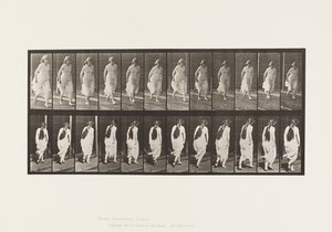 Planche 71. Course, 1885 - Eadweard Muybridge