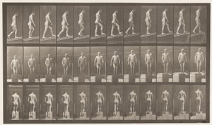 Planche 74. Montée inclinée, angle 1 sur 4 - Eadweard Muybridge