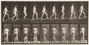 Planche 75. Monter une pente, angle 1 sur 4, 1872-1885 - Eadweard Muybridge