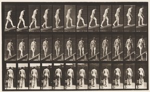 Planche 76. Monter une pente - Eadweard Muybridge