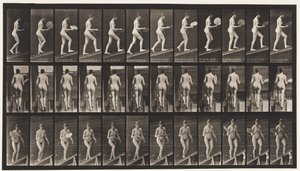 Planche 78. Montée d