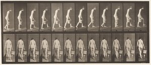 Planche 84. Montée d