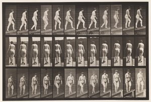 Monter une Pente - Eadweard Muybridge