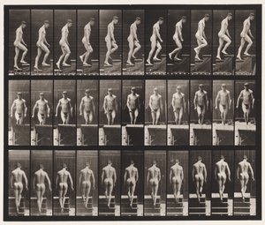 Planche 88. Monter les escaliers - Eadweard Muybridge