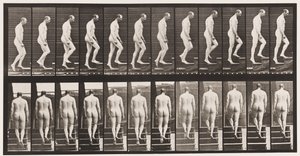 Planche 89. Monter les escaliers - Eadweard Muybridge