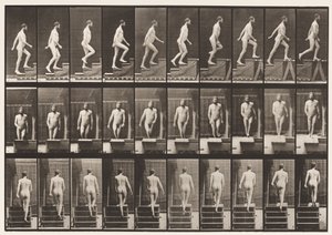 Planche 90. Monter les escaliers - Eadweard Muybridge