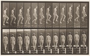 Planche 92. Monter des escaliers - Eadweard Muybridge
