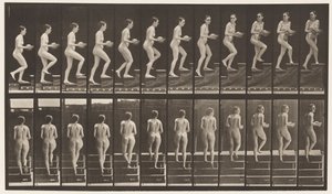 Planche 94. Monter les escaliers en regardant autour; Bassin dans les mains - Eadweard Muybridge