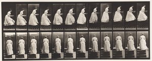 Planche 95. Montée des escaliers, une bassine dans les mains, 1885 - Eadweard Muybridge