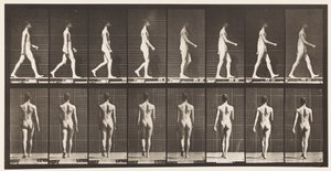 Marcher, 1872-1885 - Eadweard Muybridge