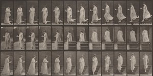  - Eadweard Muybridge