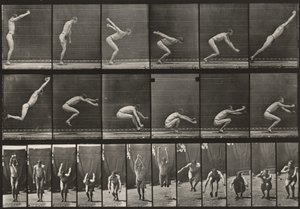  - Eadweard Muybridge